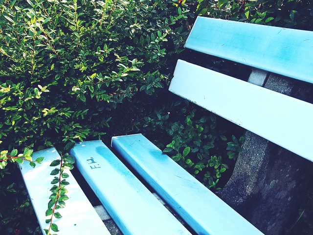 更关乎公众 更关乎公众