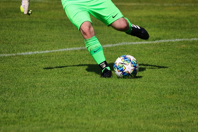 樊振东作为 樊振东作为